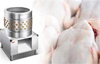 تجهیزات مخصوص پرورش طیور در سالن های کوچک