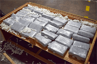 کشف ۲۳ میلیون دلار کوکائین در مرز کانادا و آمریکا