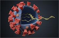 ابتلا به «دلتا کرونا» را تست نشان می دهد؟/سرایت پذیری دلتا ۴۰ درصد بیش از آلفا