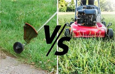 مهم ترین تفاوت های علف زن و چمن زن چیست؟