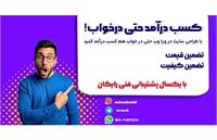 درآمد زایی با طراحی سایت در تهران