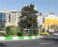 تغییر نام میدان آرژانتین در تهران