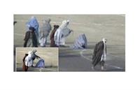 طالبان «شاعر» را کشت و چندین زن را «تیرباران» کرد