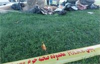 جزئیات درباره جسد مثله‌شده یک زن در میدان آزادی+عکس