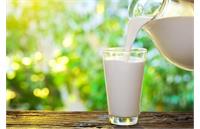 بحران لبنیات در راه است؛ قیمت شیر ۵۳ درصد و ماست ۴۰ درصد افزایش می‌یابد