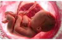 عوارض هولناک سقط جنین که سال‌ها گریبانگیر مادر می‌شود