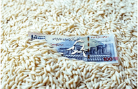 ماجرای نایاب شدن برنج / برنج هاشمی کیلویی ۳۵۰ هزار تومان!