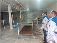 پلمب کارگاه بسته بندی غیر مجاز گوشت قرمز در شهرستان یزد