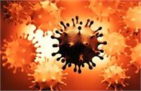 شیوع «کرونای تاجدار» با ۳۲ جهش پروتئینی‌