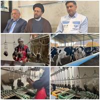خبرنگاران استان به مناسبت هفته دامپزشکی از مجتمع پرورش بلدرچین و همچنین مجتمع پرورش گاو شیری بازدید کردند